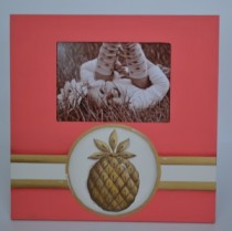pineapple-frame-300x300